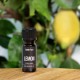 Zestaw aromatyzer Stadler Form - Sophie Little, czarny + Olejek zapachowy Lemon