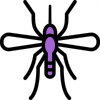 mosquitoes