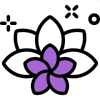 aroma flower
