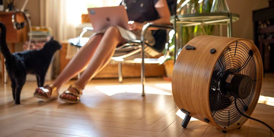 Wentylator Stadler Form Otto stoi na drewnianej podłodze. W tle widać nogi kobiety i kota