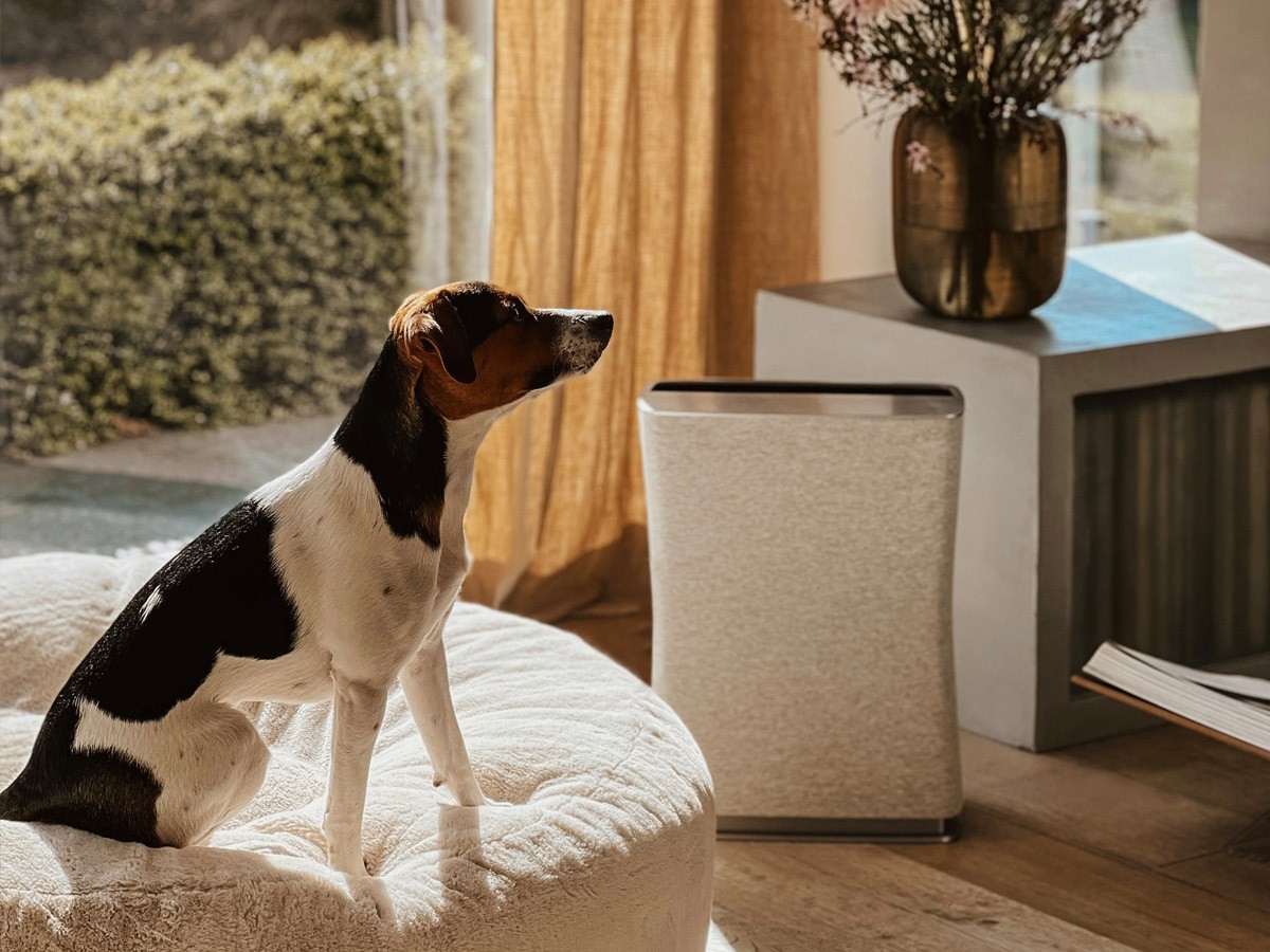 Jaki oczyszczacz dla astmatyka wybrać? Ranking polecanych urządzeń