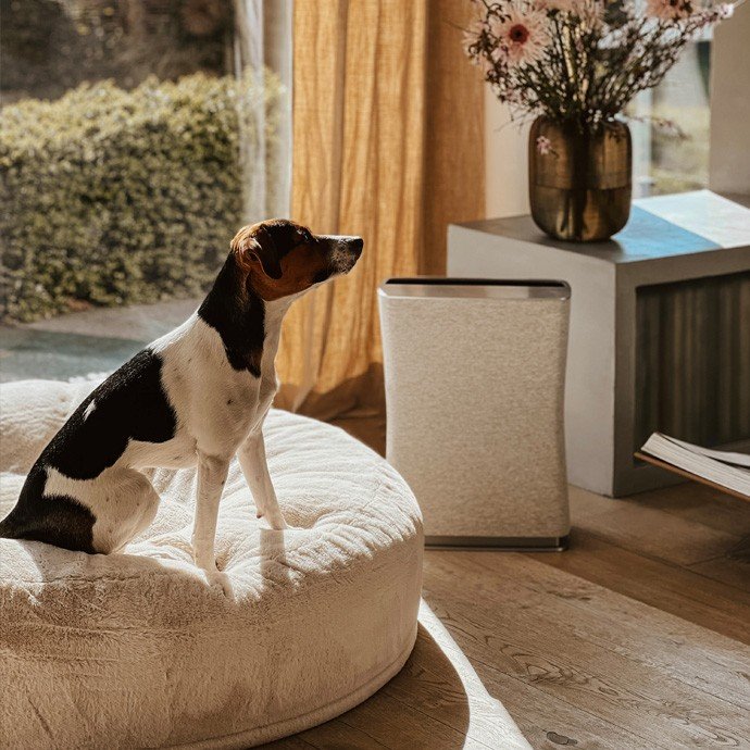 Jaki oczyszczacz dla astmatyka wybrać? Ranking polecanych urządzeń