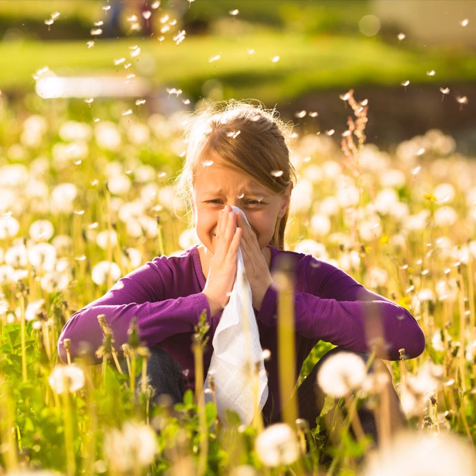 Alergia? Co muszą wiedzieć alergicy
